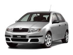 Eva коврики для  Skoda Fabia I 1999-2007